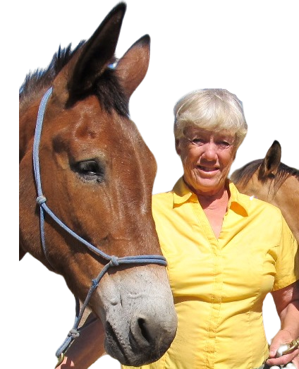 Kathe Hustace